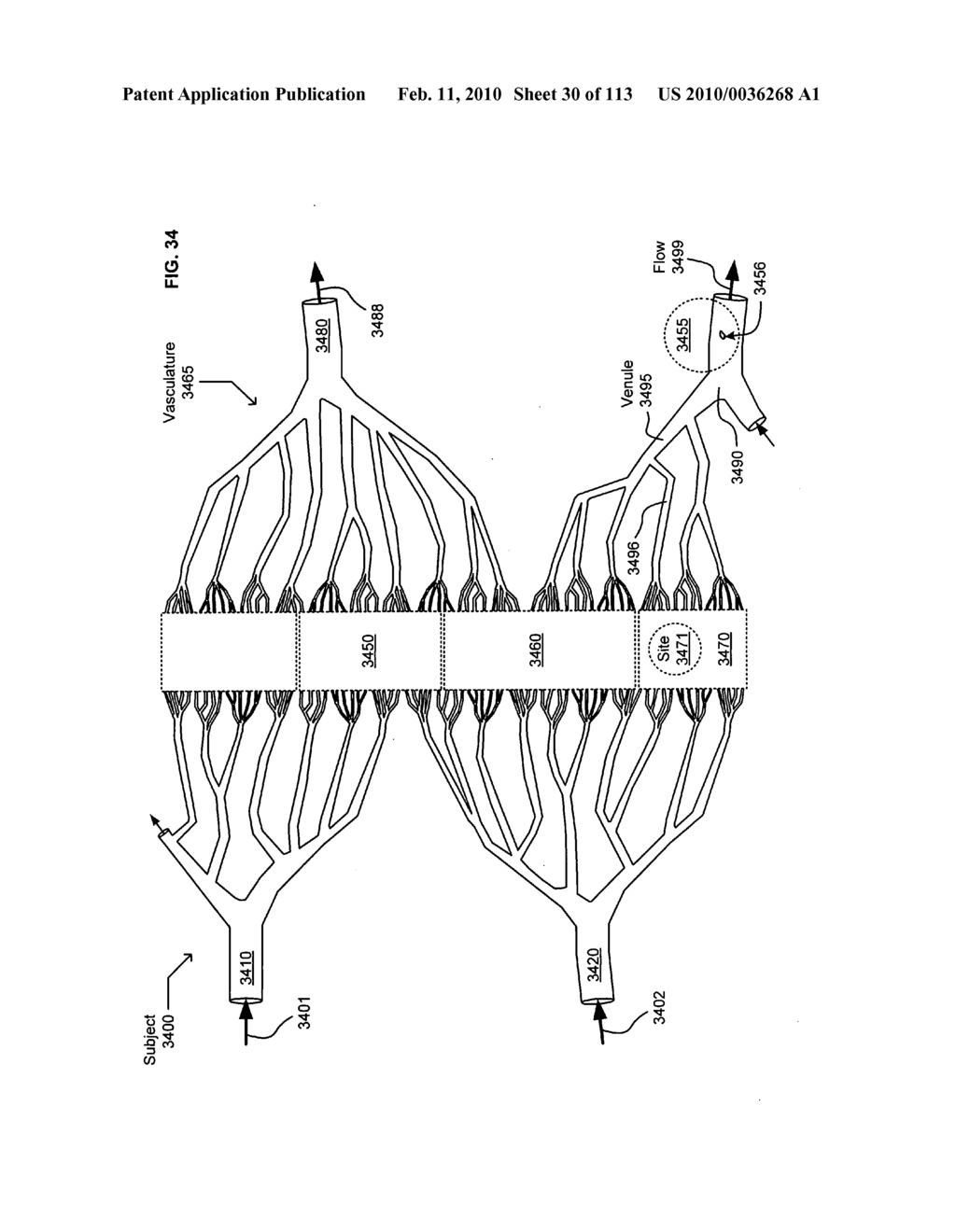 Circulatory monitoring systems and methods - diagram, schematic, and image 31