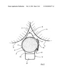 ANIMAL TEMPERATURE MONITOR AND MONITORING METHOD diagram and image