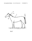 ANIMAL TEMPERATURE MONITOR AND MONITORING METHOD diagram and image