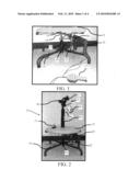 Apparatus and Methods for Assessment of Vestibulo-Ocular Reflexes diagram and image