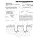 IMPLANTATION DEVICE, METHOD FOR PRODUCING AND FOR APPLYING THE SAME diagram and image