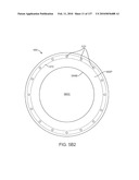 Therapeutic device for pain management and vision diagram and image