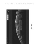 Therapeutic device for pain management and vision diagram and image