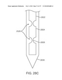 Therapeutic device for pain management and vision diagram and image