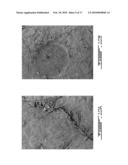 WET EMBOSSED PAPERBOARD AND METHOD AND APPARATUS FOR MANUFACTURING SAME diagram and image