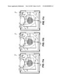 APPARATUS AND METHOD FOR FLUORESCENCE MEASUREMENTS USING SPATIALLY STRUCTURED ILLUMINATION diagram and image