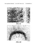 THREE DIMENSIONAL NANOSCALE CIRCUIT INTERCONNECT AND METHOD OF ASSEMBLY BY DIELECTROPHORESIS diagram and image