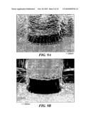 THREE DIMENSIONAL NANOSCALE CIRCUIT INTERCONNECT AND METHOD OF ASSEMBLY BY DIELECTROPHORESIS diagram and image