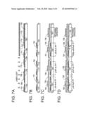 ELECTRO-OPTICAL DEVICE AND METHOD FOR MANUFACTURING THE SAME diagram and image