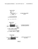 Physical Value Sensor Comprising An Optical Fiber That Is Not Sensitive To Static Values diagram and image