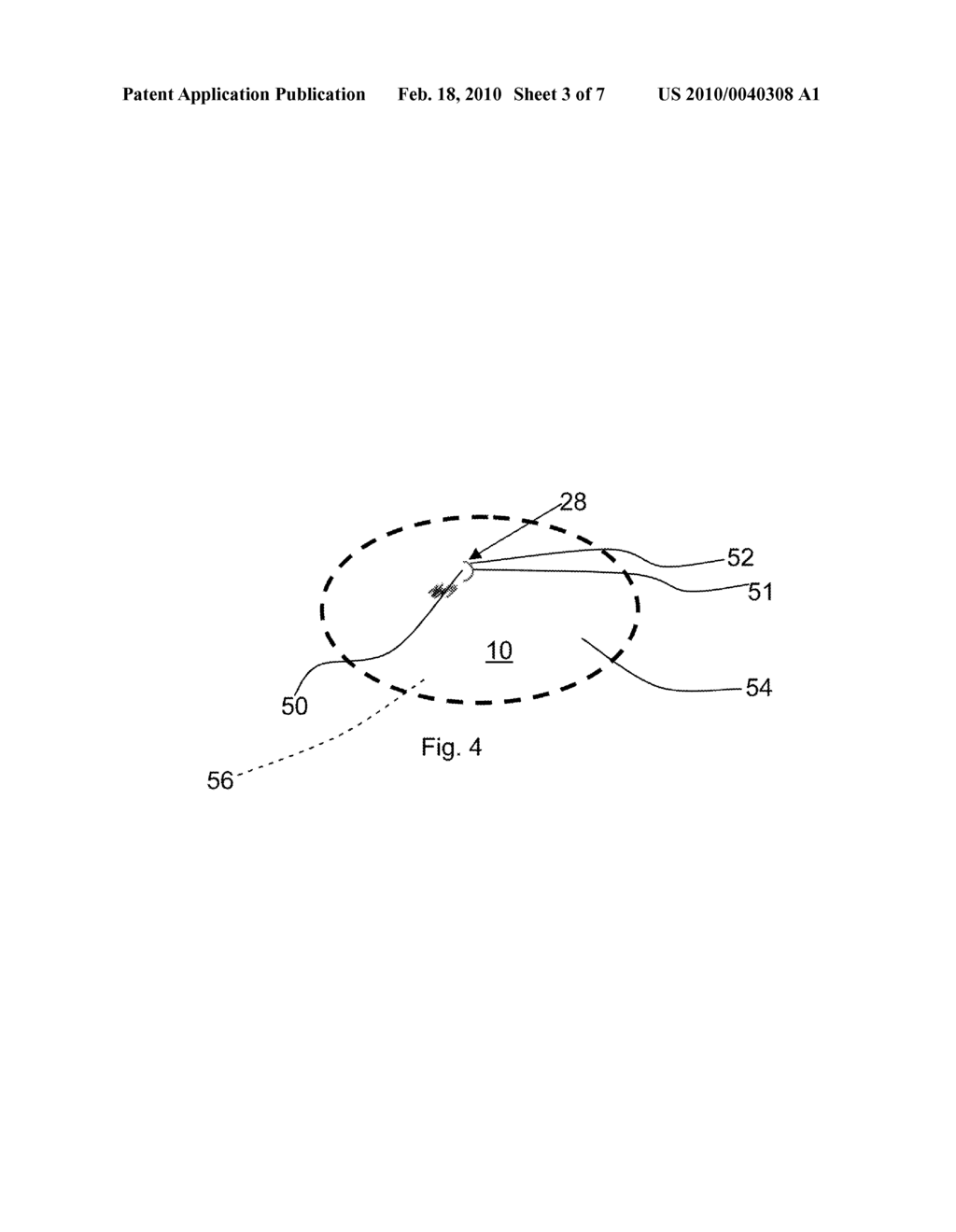 FREEZE AND HEAT FOOD PREPORTIONING BAG - diagram, schematic, and image 04