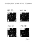 R-T-B Based Rare Earth Permanent Magnet and Method for Production Thereof diagram and image