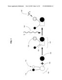 Biological targeting compositions and methods of using the same diagram and image