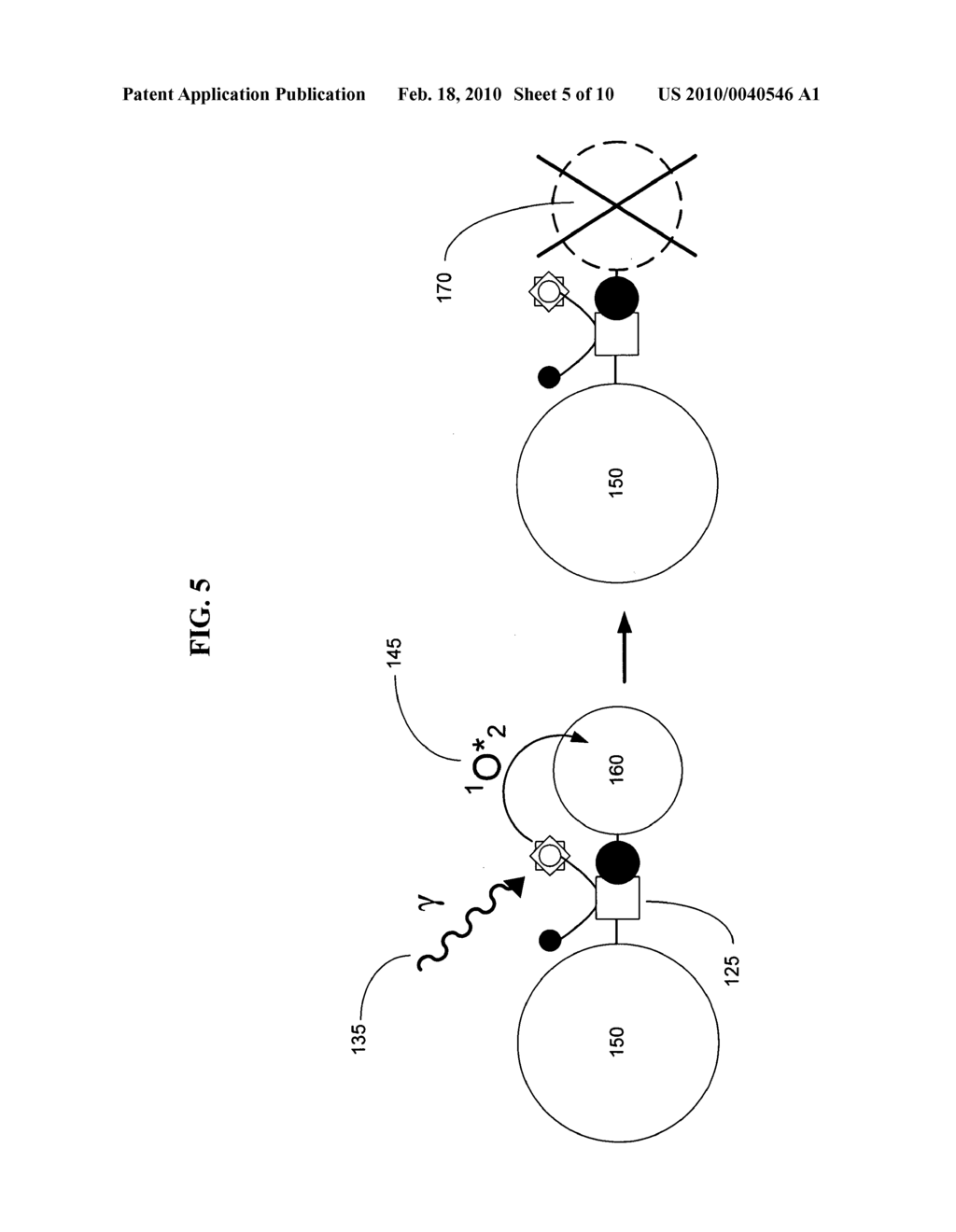 Biological targeting compositions and methods of using the same - diagram, schematic, and image 06