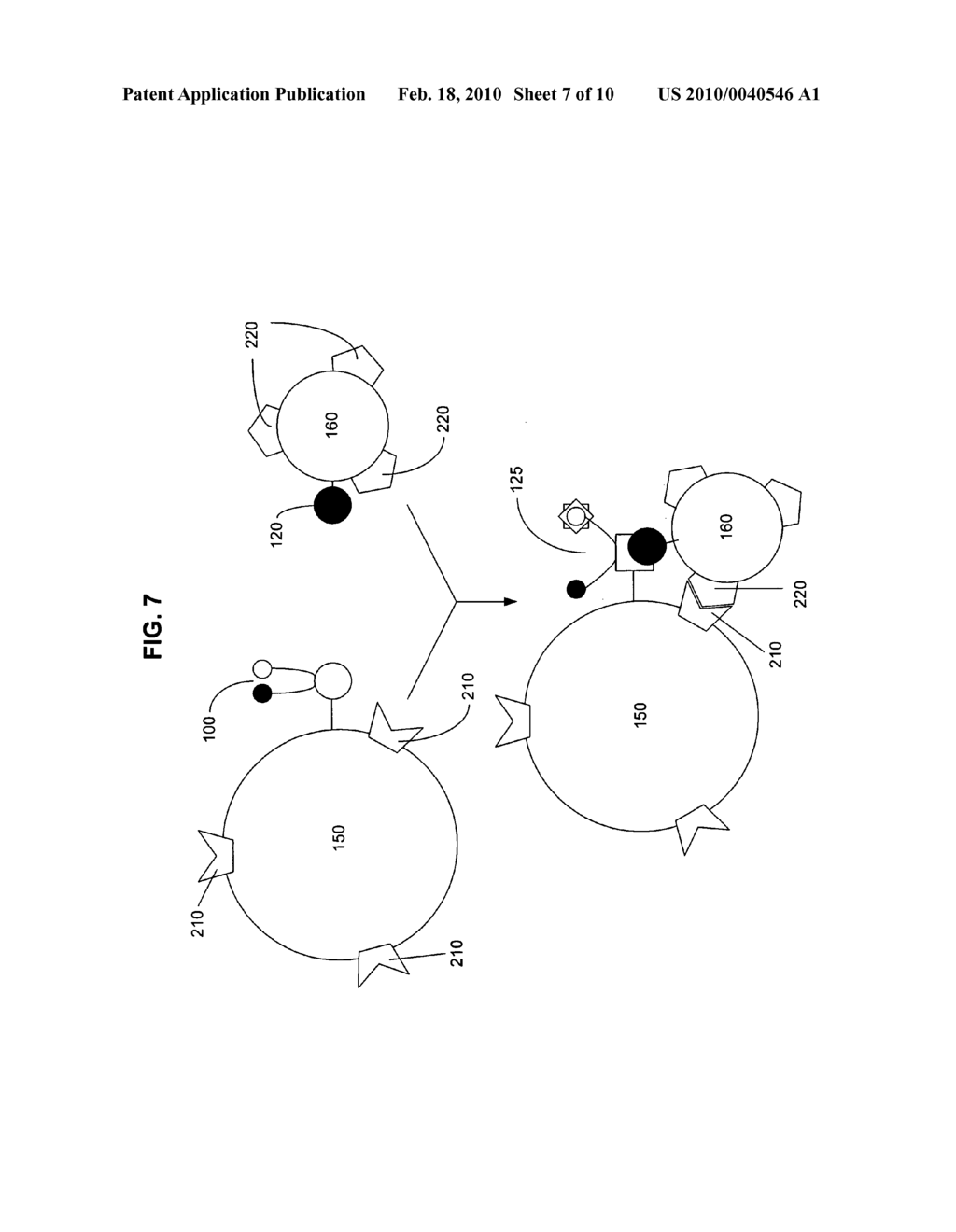 Biological targeting compositions and methods of using the same - diagram, schematic, and image 08