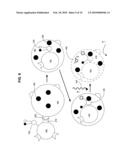 Biological targeting compositions and methods of using the same diagram and image