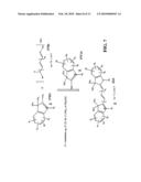 DYES AND PRECURSORS AND CONJUGATES THEREOF diagram and image