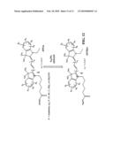 DYES AND PRECURSORS AND CONJUGATES THEREOF diagram and image