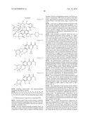 HIGH PENETRATION PRODRUG COMPOSITIONS OF ANTIMICROBIALS AND ANTIMICROBIAL-RELATED COMPOUNDS diagram and image