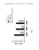 METHODS FOR PROMOTING NEOVASCULARIZATION diagram and image