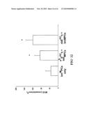 METHODS FOR PROMOTING NEOVASCULARIZATION diagram and image