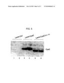 METHODS AND COMPOSITIONS FOR REDUCING AMYLOID BETA LEVELS diagram and image