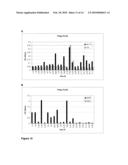 POLYPEPTIDE CONSTRUCTS FOR SUBLINGUAL ADMINISTRATION diagram and image