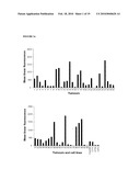 ANTI-CANCER ANTIBODIES AGAINST LEWISy AND LEWISb ANTIGENS diagram and image