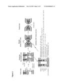 Combination Therapy of HIV Using Fusion/Entry Inhibitors Targeting GP41 diagram and image