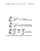 Manipulation of Regulatory T Cell and Dc Function By Targeting Neuritin Gene Using Antibodies, Agonists and Antagonists diagram and image