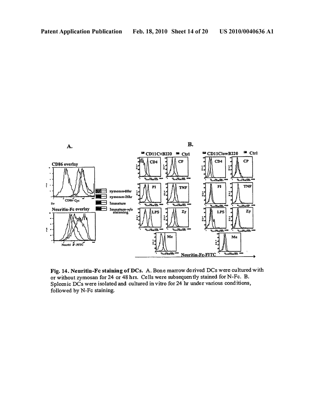 Manipulation of Regulatory T Cell and Dc Function By Targeting Neuritin Gene Using Antibodies, Agonists and Antagonists - diagram, schematic, and image 15