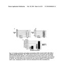 Manipulation of Regulatory T Cell and Dc Function By Targeting Neuritin Gene Using Antibodies, Agonists and Antagonists diagram and image