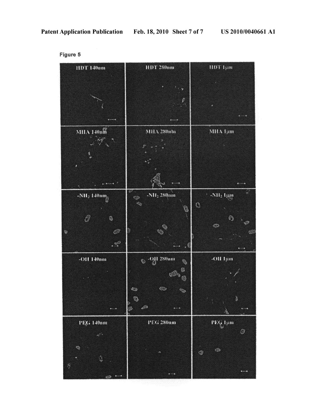 Materials and methods for cell growth - diagram, schematic, and image 08