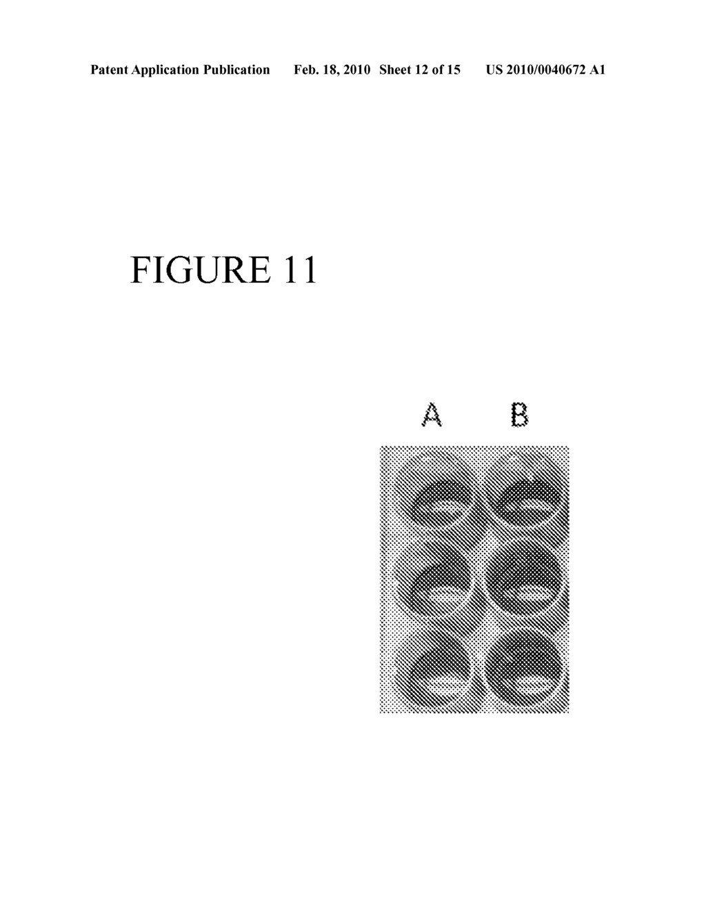 DELIVERY OF THERAPEUTICS - diagram, schematic, and image 13