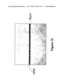 METHOD FOR PROVIDING SUB-SURFACE MARKS IN POLYMERIC MATERIALS diagram and image