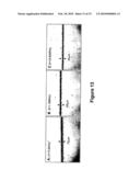 METHOD FOR PROVIDING SUB-SURFACE MARKS IN POLYMERIC MATERIALS diagram and image