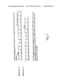 Rationally designed antibodies diagram and image