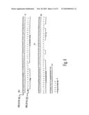 Rationally designed antibodies diagram and image