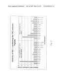 Rationally designed antibodies diagram and image