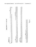 Rationally designed antibodies diagram and image