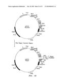 Rationally designed antibodies diagram and image