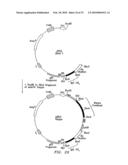 Rationally designed antibodies diagram and image