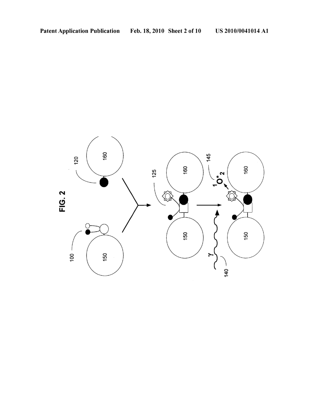 Biological targeting compositions and methods of using the same - diagram, schematic, and image 03