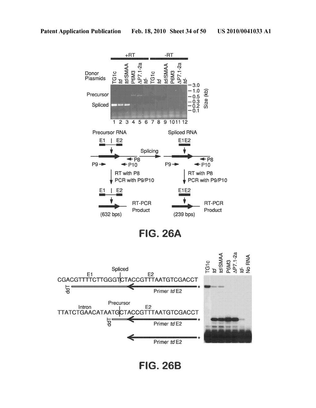 SITE SPECIFIC SYSTEM FOR GENERATING DIVERSITY PROTEIN SEQUENCES - diagram, schematic, and image 35