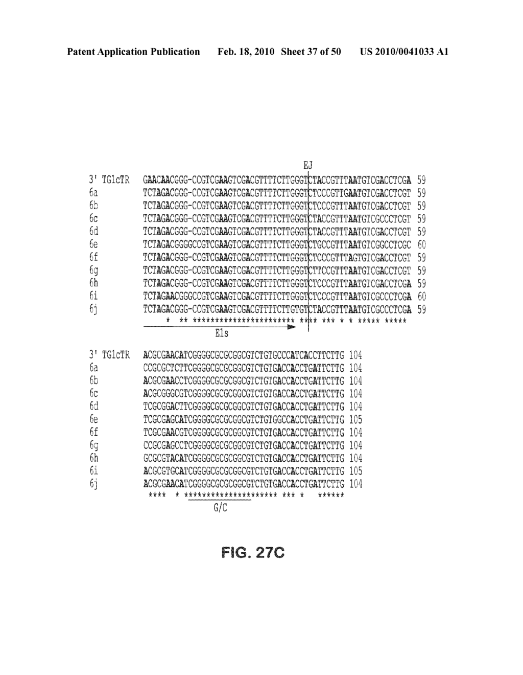 SITE SPECIFIC SYSTEM FOR GENERATING DIVERSITY PROTEIN SEQUENCES - diagram, schematic, and image 38