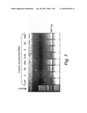 Analysis of nucleic acid obtained from nucleated red blood cells diagram and image