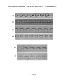 METHOD AND APPARATUS FOR THE DISCRETIZATION AND MANIPULATION OF SAMPLE VOLUMES diagram and image