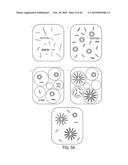 Circulating Mutant DNA to Assess Tumor Dynamics diagram and image