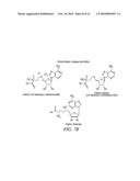 DNA METHYLATION DETECTION METHODS diagram and image