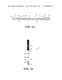 Immunoassay and method of use diagram and image